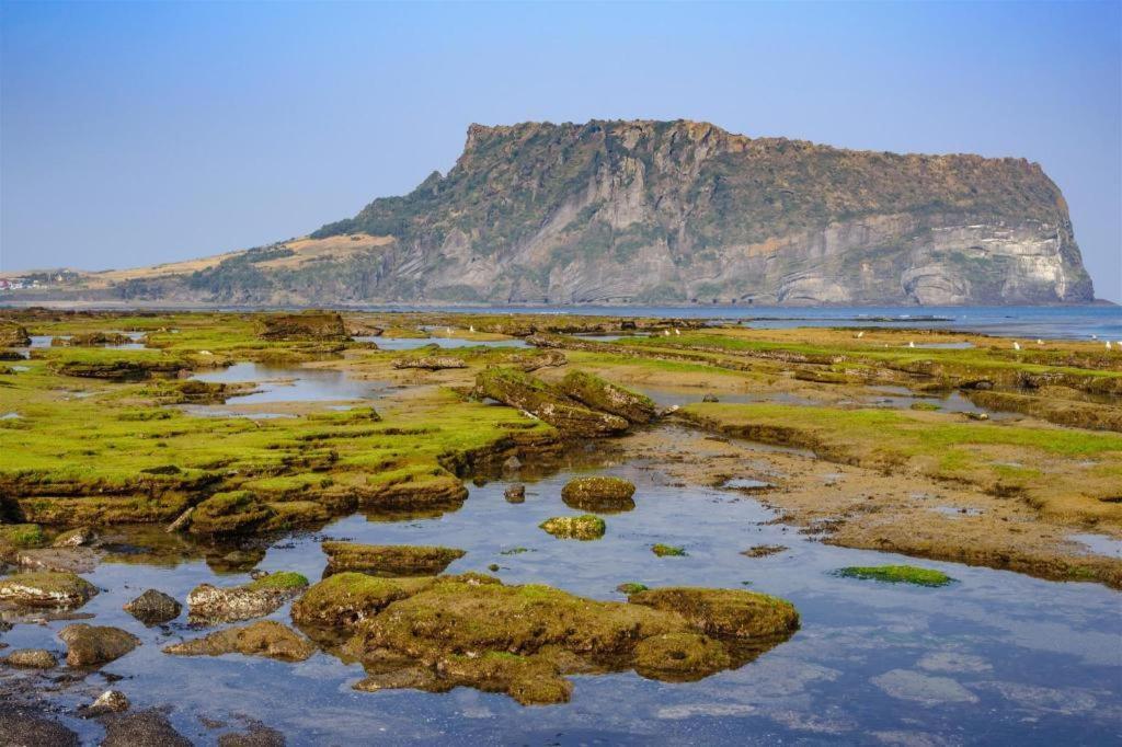 Hotel Aroha Jeju Seogwipo Zewnętrze zdjęcie